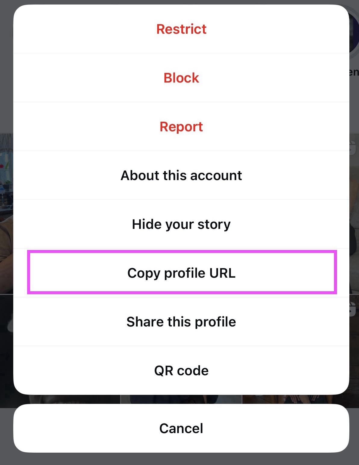Press Copy Profile URL button